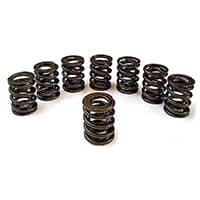Valve Spring Set, Race Only (FOR095)